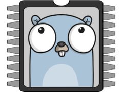 tinygo
